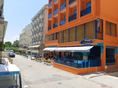 Consul