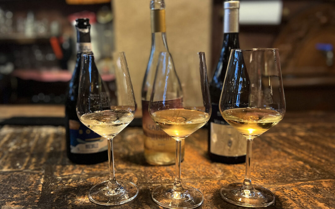 WeinTour Cattolica 2026