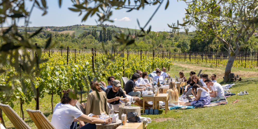 cattolica-giro-nelle-cantine