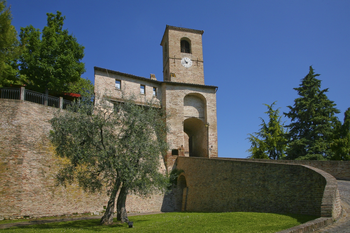 Dove mangiare a Cattolica
